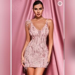 Bella Berrnett New with Tags Never Worn Size Medium  Klauda Pink Mini Dress